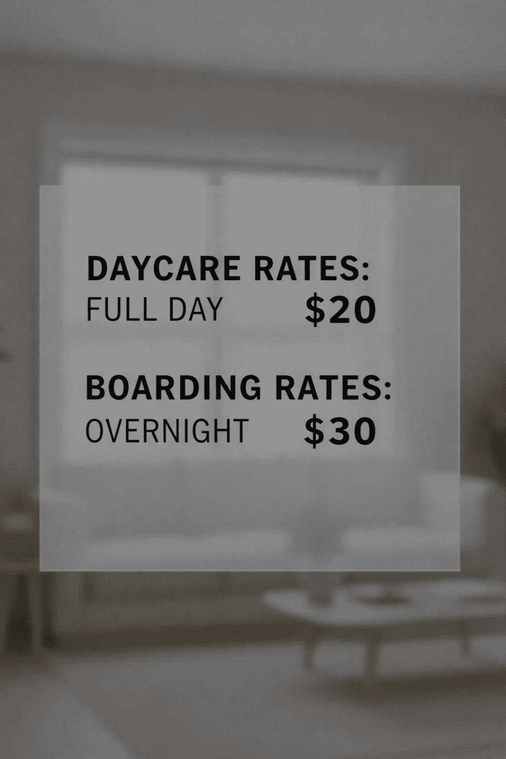 Full day daycare rates are $20 and overnight boarding rates are $30 over blurred background.